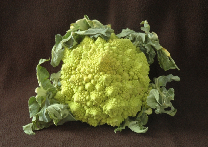 47.broccoli romanesco (296K)