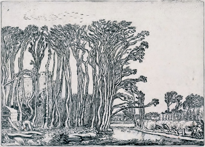 90.Buytenwech Kale bomen Rijksmuseum (391K)